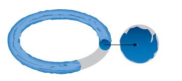 O-Ring Extrusion & Nibbling
