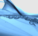 Freudenberg Polyurethane