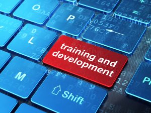 Seal Specialist - Training & Development