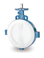 GAR-SEAL&reg; Butterfly Valve