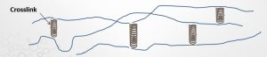 Fluoroelastomer - Elastomer Crosslinks