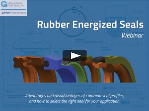 Rubber Energized Seals - Webinar