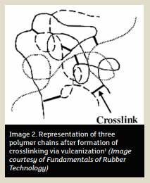 Representatin of three polymer chains after formation of crosslinking via vulcanization