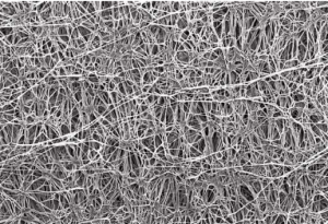 picture of gore fibers