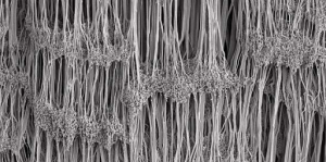 picture of notes in gore