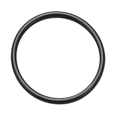picture of o-ring