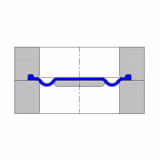 Convoluted_Diaphragm