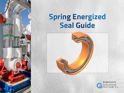 Spring-Energized-Seal-Guide