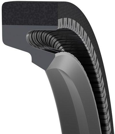 spring energized seals