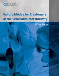 SetRatioSize250250-Failure-Modes-of-Elastomers-in-the-Semicon-Industry-Page-1