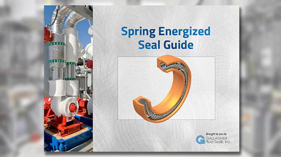picture of spring energized seal guides