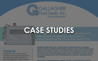 gallagher fluid seals case studies