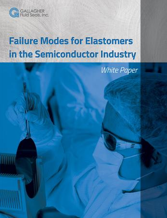 picture of failure modes of elastomers for semicon