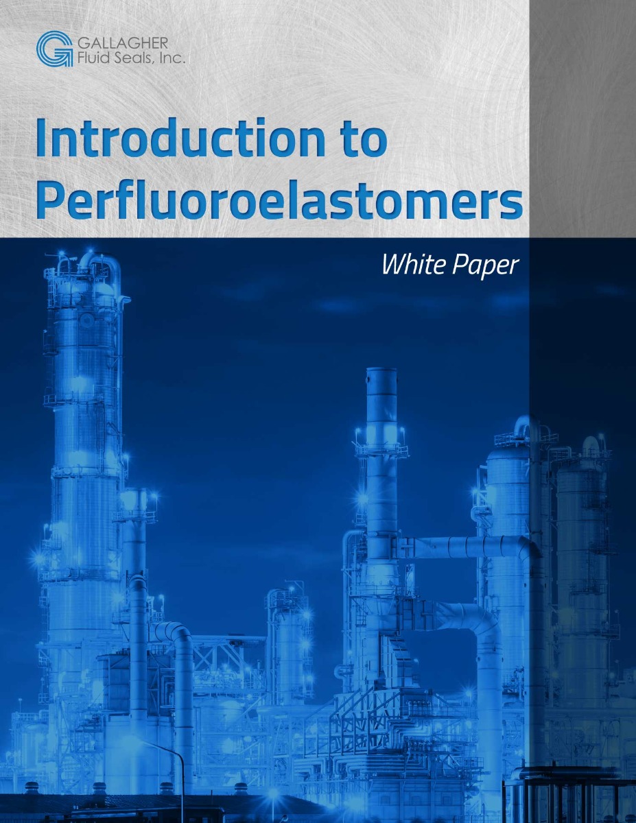 picture of intro to perfluoroelastomers (ffkm)